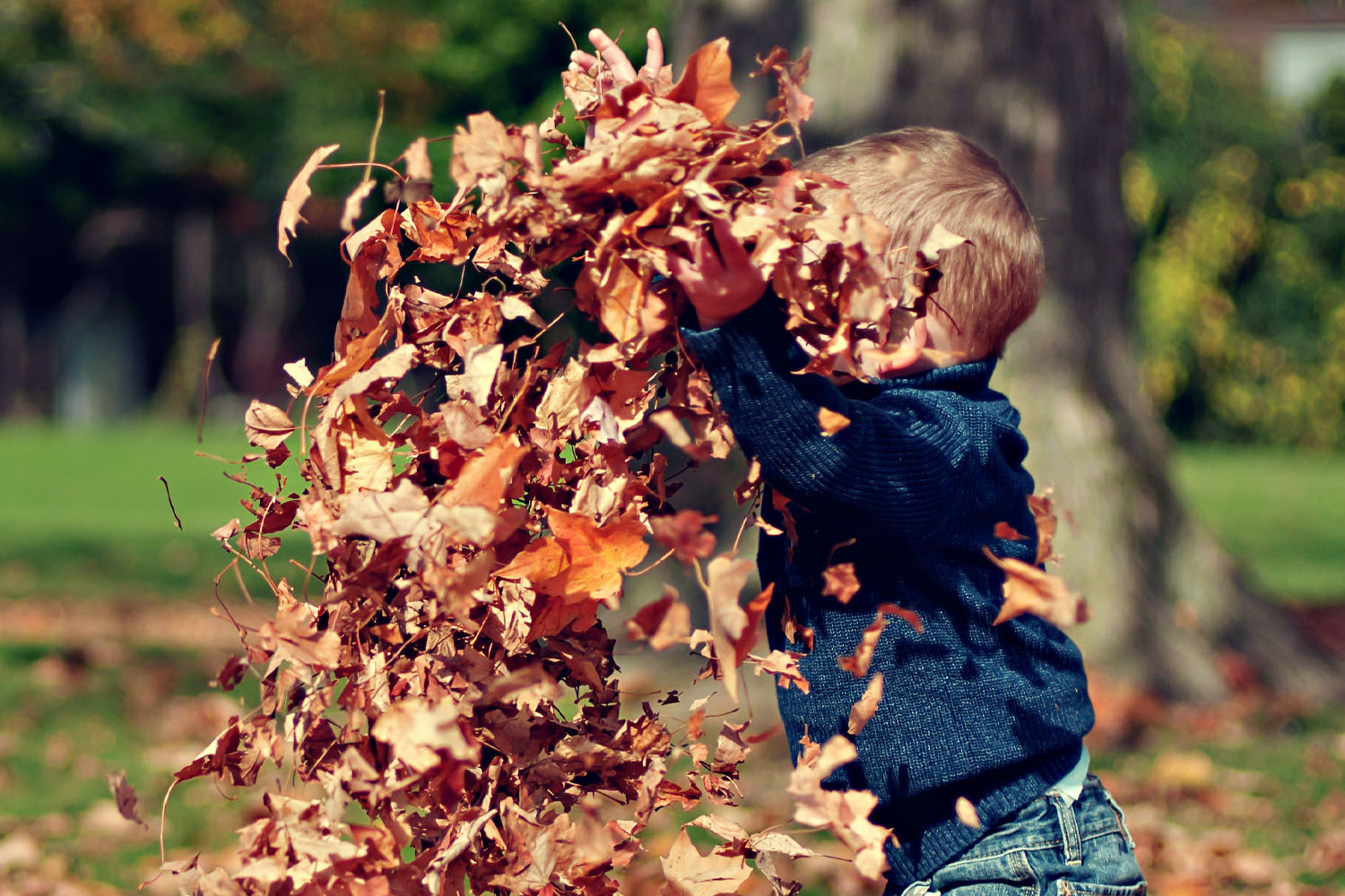 Herbstferien: Viel Programm in Natur-Schule Grund